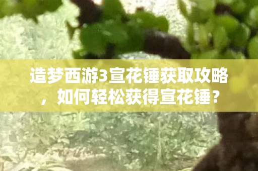 造梦西游3宣花锤获取攻略图片