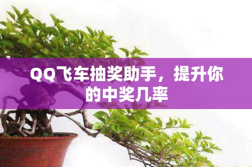 QQ飞车抽奖助手图片