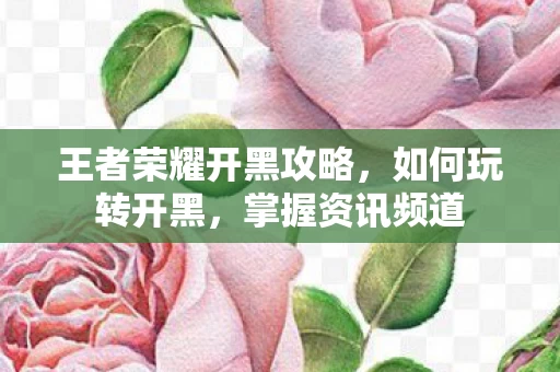 王者荣耀开黑攻略图片