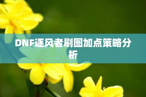 DNF逐风者刷图加点策略分析图片