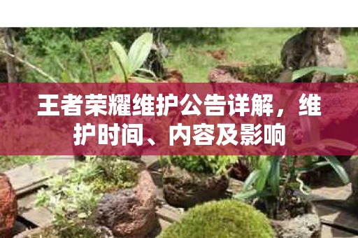王者荣耀维护公告详解图片