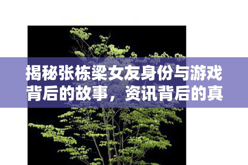 揭秘张栋梁女友身份与游戏背后的故事图片