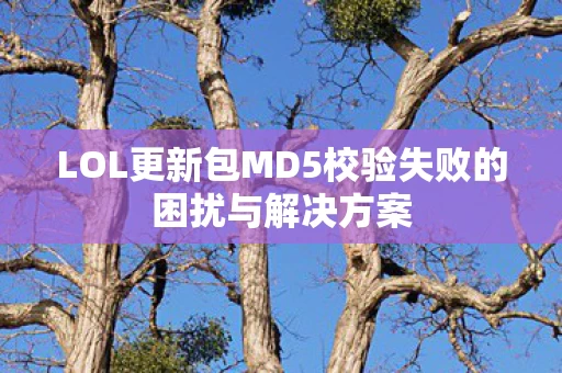 LOL更新包MD5校验失败的困扰与解决方案图片