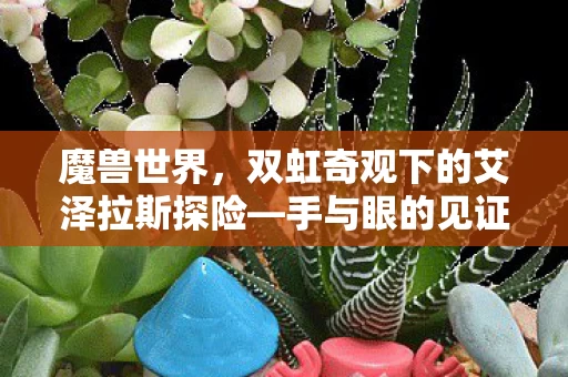 双虹奇观下的艾泽拉斯探险图片
