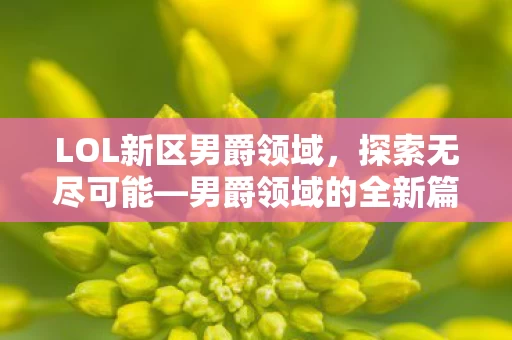LOL新区男爵领域图片