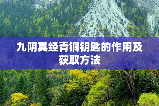 九阴真经青铜钥匙的作用及获取方法图片