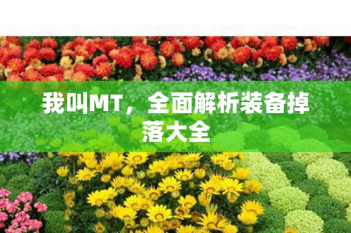 全面解析装备掉落大全图片