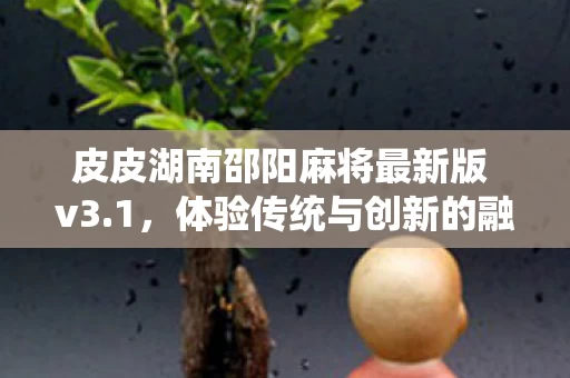 皮皮湖南邵阳麻将最新版 v3图片