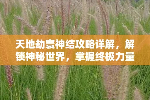 天地劫寰神结攻略详解图片