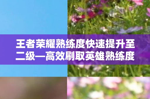 王者荣耀熟练度快速提升至二级图片