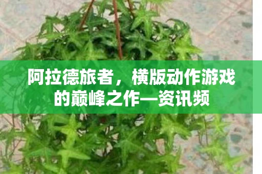横版动作游戏的巅峰之作图片