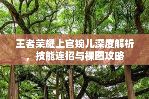 王者荣耀上官婉儿深度解析图片