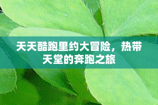 天天酷跑里约大冒险图片