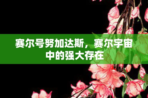 赛尔宇宙中的强大存在图片
