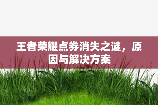王者荣耀点券消失之谜图片