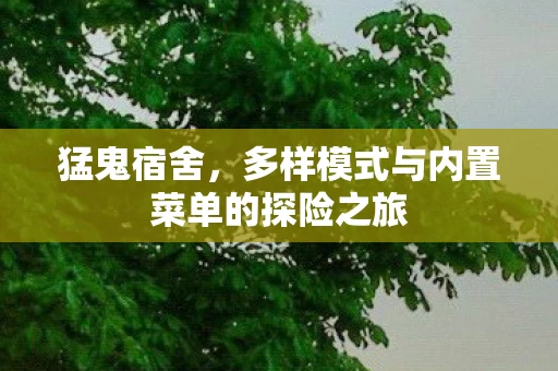 多样模式与内置菜单的探险之旅图片