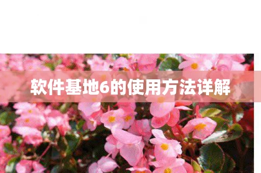 软件基地6的使用方法详解图片