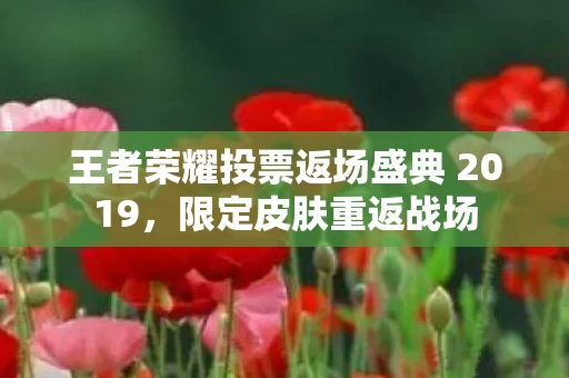 王者荣耀投票返场盛典 2019图片