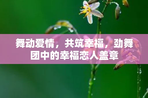 劲舞团中的幸福恋人盖章图片