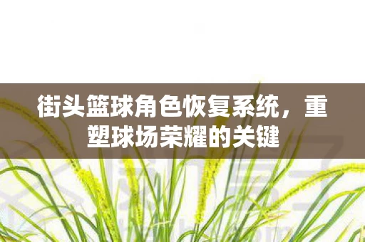 街头篮球角色恢复系统图片