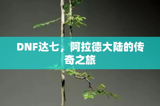 阿拉德大陆的传奇之旅图片