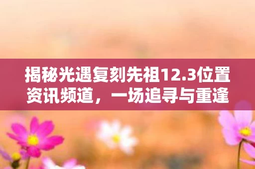 一场追寻与重逢的冒险之旅图片