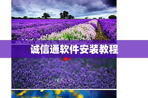 诚信通软件安装教程图片