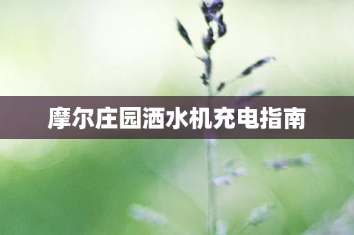 摩尔庄园洒水机充电指南图片