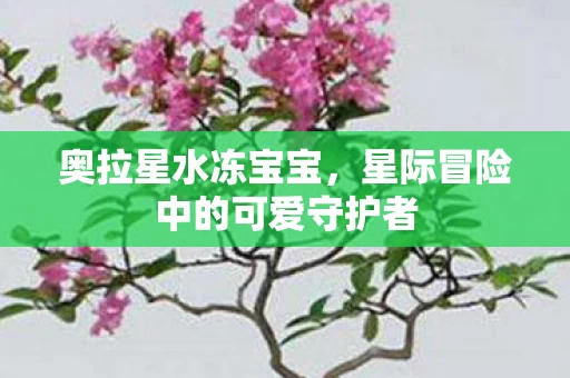 星际冒险中的可爱守护者图片