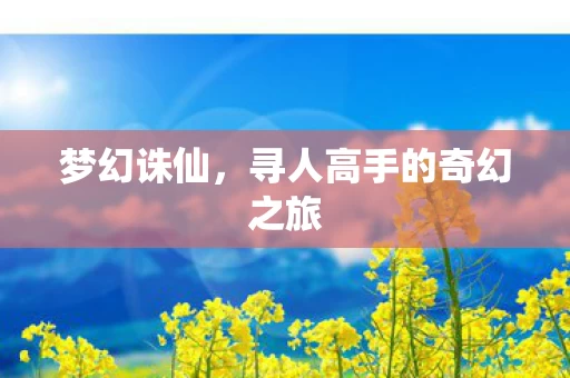 寻人高手的奇幻之旅图片