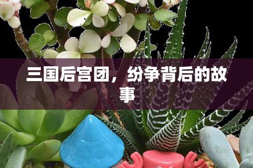 纷争背后的故事图片