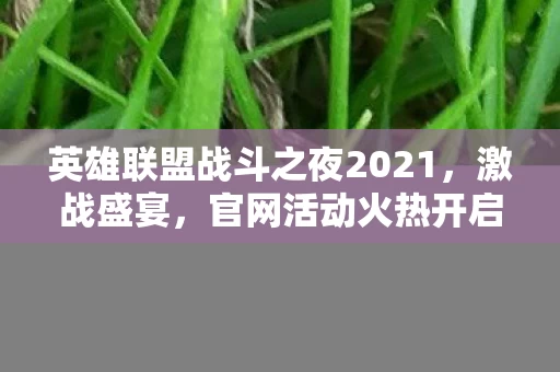 英雄联盟战斗之夜2021图片