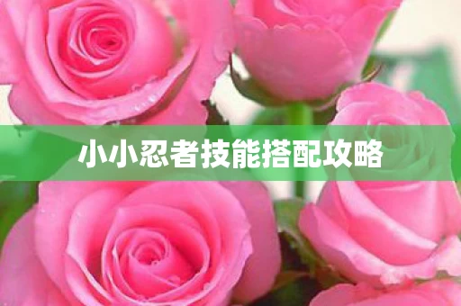 小小忍者技能搭配攻略图片