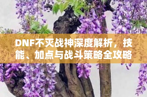 DNF不灭战神深度解析图片