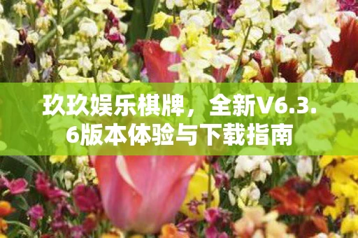6版本体验与下载指南图片