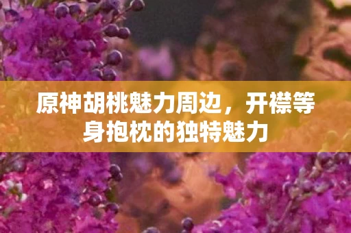 开襟等身抱枕的独特魅力图片