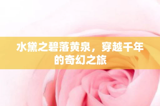 穿越千年的奇幻之旅图片