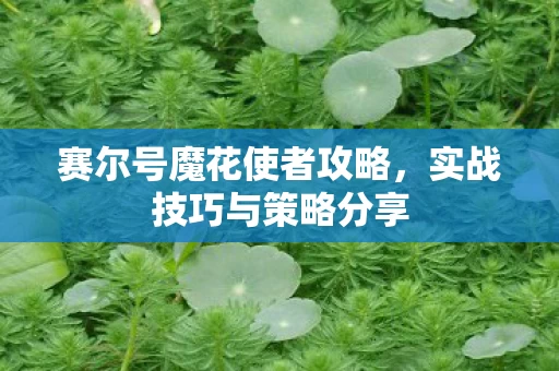 赛尔号魔花使者攻略图片