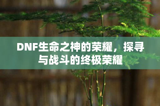 DNF生命之神的荣耀图片