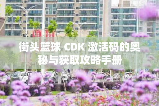 街头篮球 CDK 激活码的奥秘与获取攻略手册图片