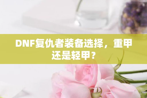 DNF复仇者装备选择图片