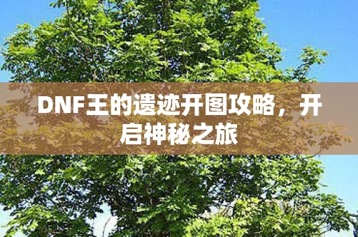 DNF王的遗迹开图攻略图片