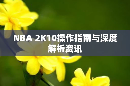 NBA 2K10操作指南与深度解析资讯图片