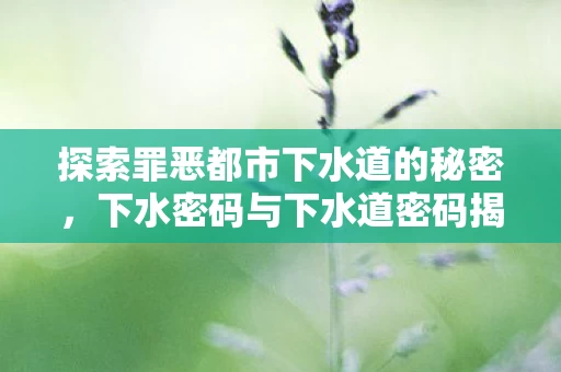 探索罪恶都市下水道的秘密图片