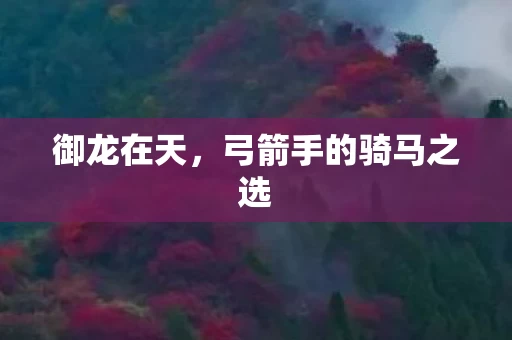 弓箭手的骑马之选图片