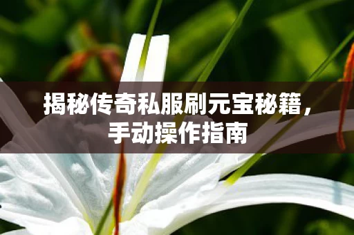揭秘传奇私服刷元宝秘籍图片