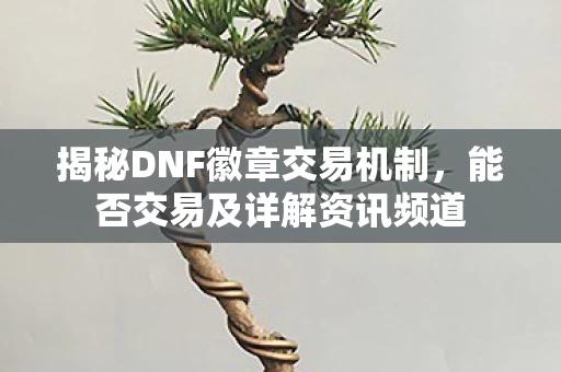 揭秘DNF徽章交易机制图片
