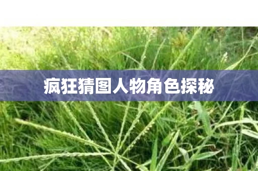 疯狂猜图人物角色探秘图片