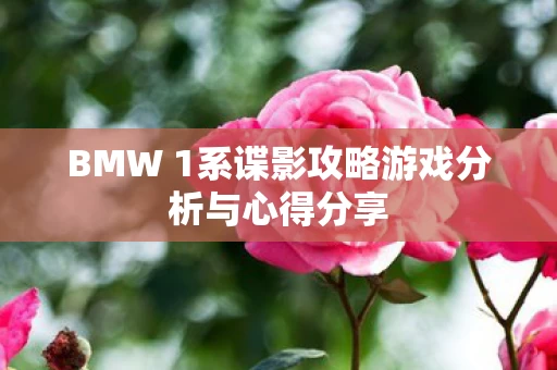 BMW 1系谍影攻略游戏分析与心得分享图片