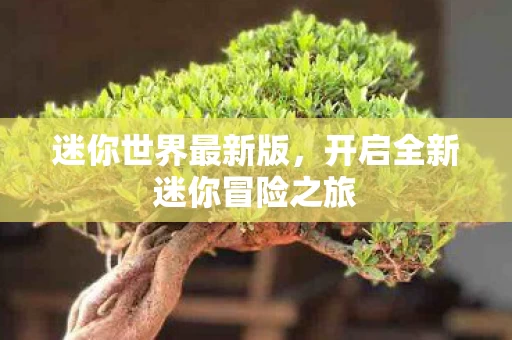 开启全新迷你冒险之旅图片